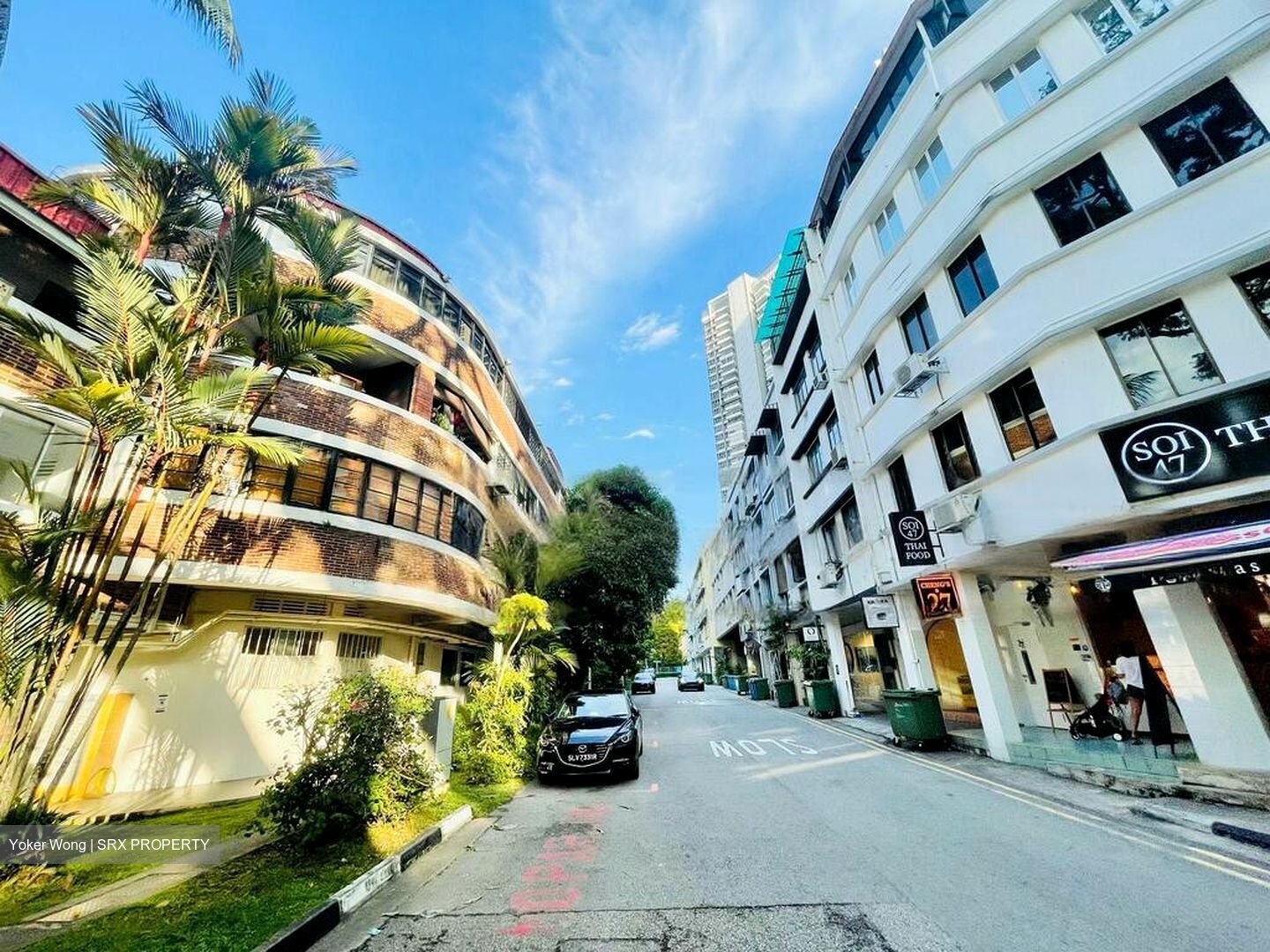 Tiong Bahru Estate (D3), Shop House #457049251